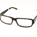 V310-TORTOISE-135