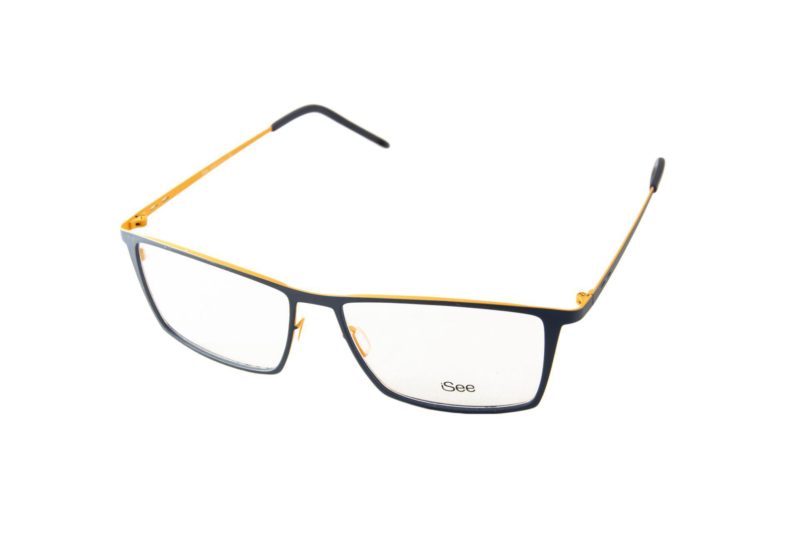 ISEE 1110 C.255
