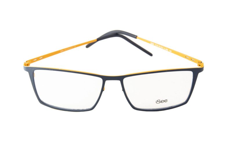 ISEE 1110 C.255 a